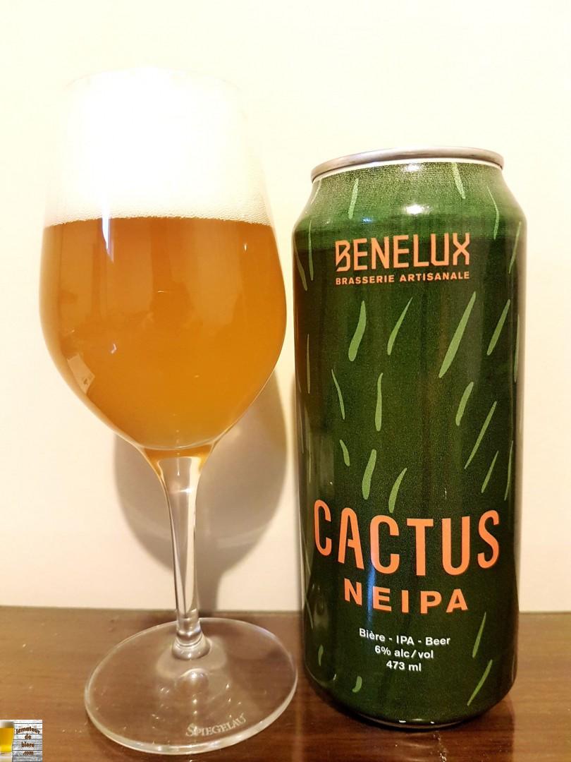 Cactus NEIPA de Benelux